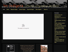 Tablet Screenshot of enlaces.serindigena.org